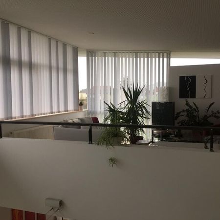 Sonnen- und Insektenschutz