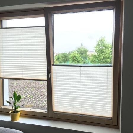 Sonnen- und Insektenschutz